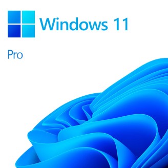 Microsoft Windows 11 Pro - CD
