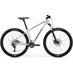 Bicicleta Merida BIG NINE 300 29" - Champagne (Purpura) - S(14.5)