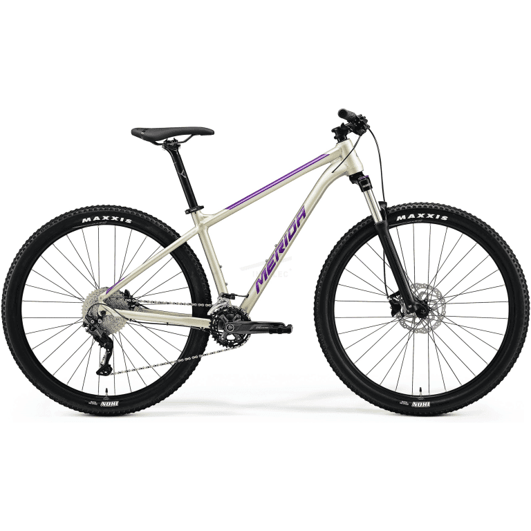 Bicicleta Merida BIG NINE 300 29" - Champagne (Purpura) - S(14.5)