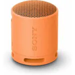 SONY SRS-XB100