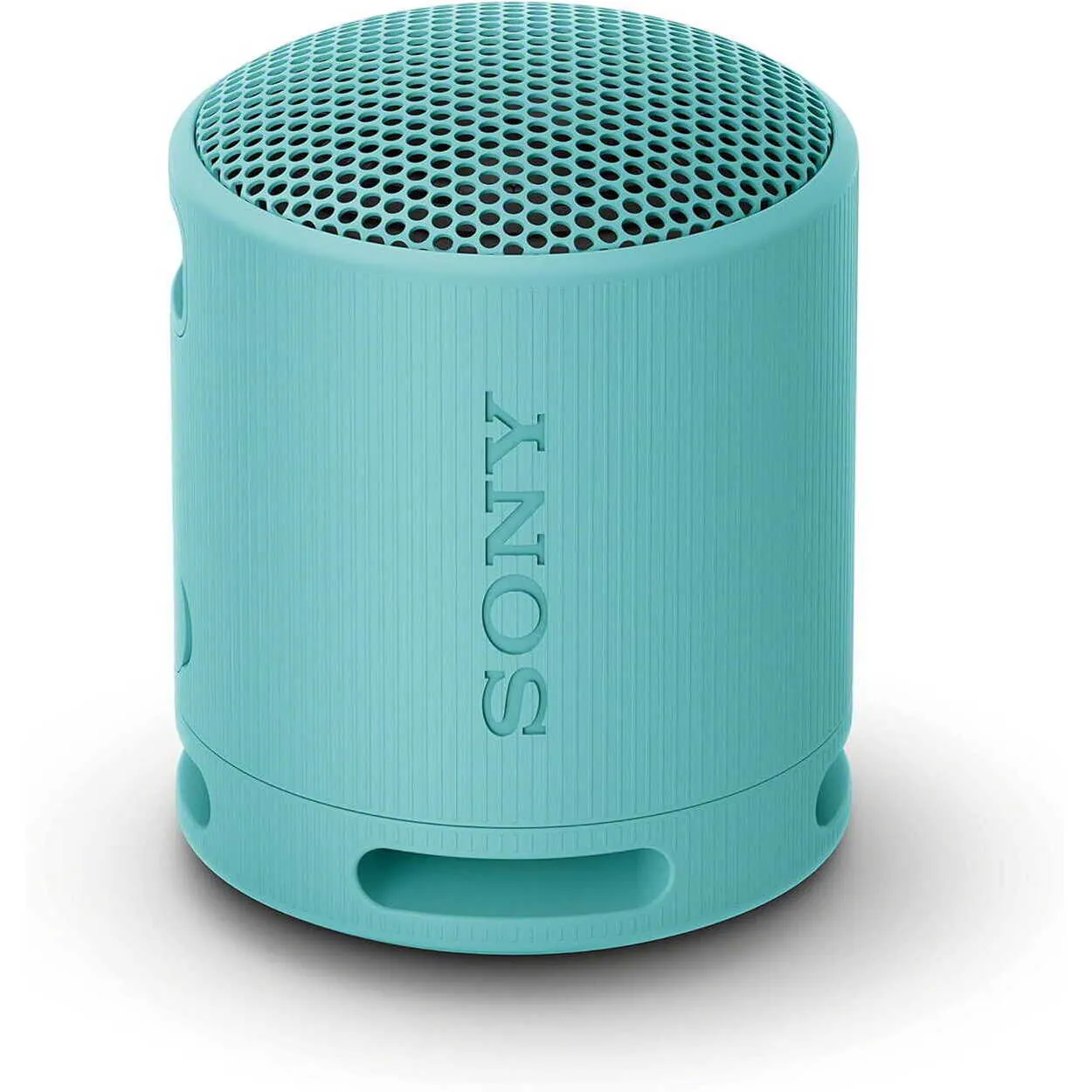 SONY SRS-XB100