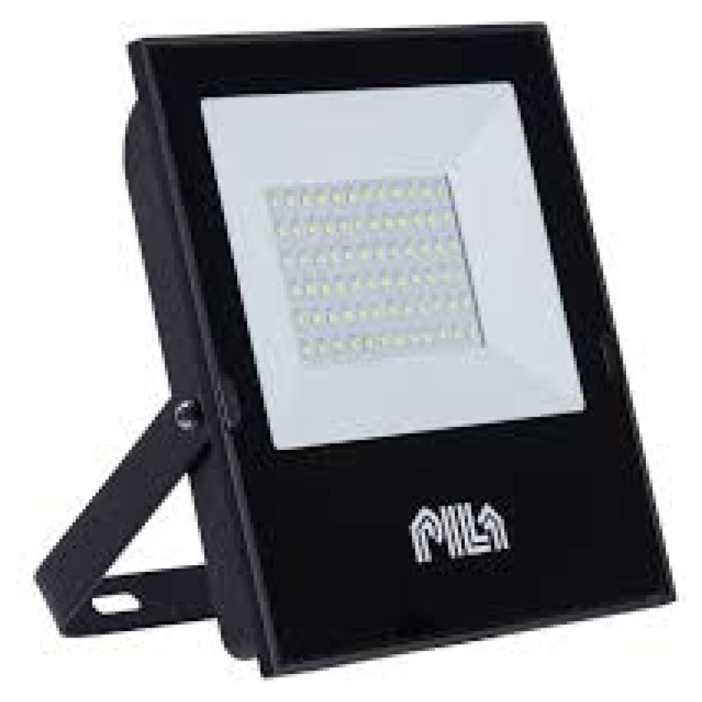 REFLECTOR PILA - 100W - 6500K - Imagen 1