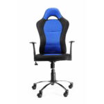 Ergonomic blue and black gaming chair with padded backrest and five-wheel base.