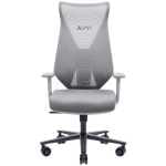 Ergonomic swivel office chair with gray mesh back, cushioned seat, armrests, and five-wheel base (XPG branded).