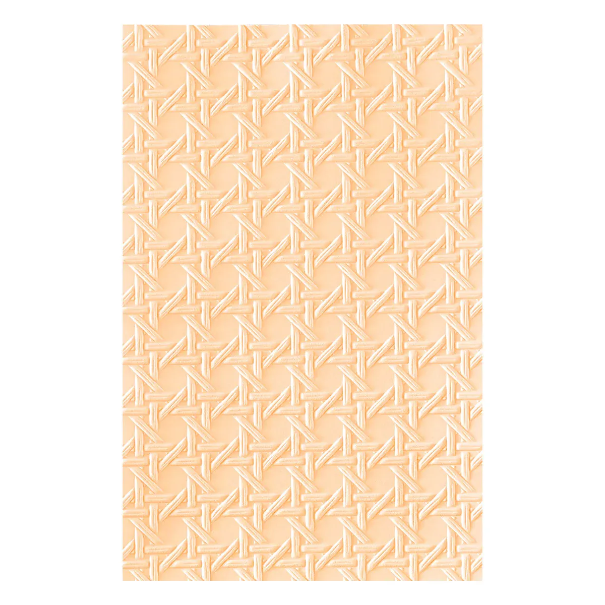 CARPETA DE EMBOSSING 3D RATTAN CANE DE SIMON HURLEY