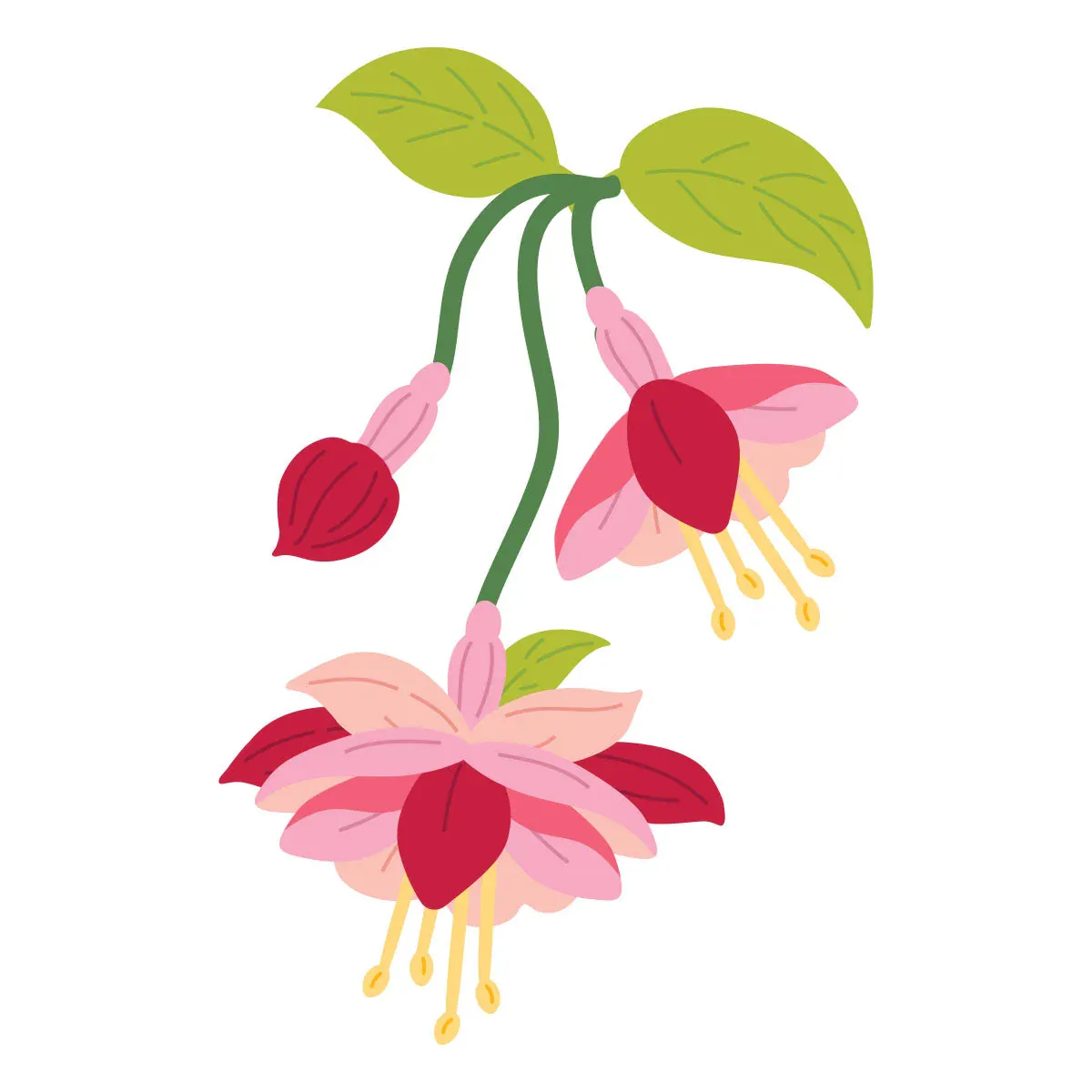 TROQUELES MAGICAL FUCHSIA DE ALEX SYBERIA