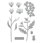 TROQUELES FIELD NOTES WILDFLOWERS
