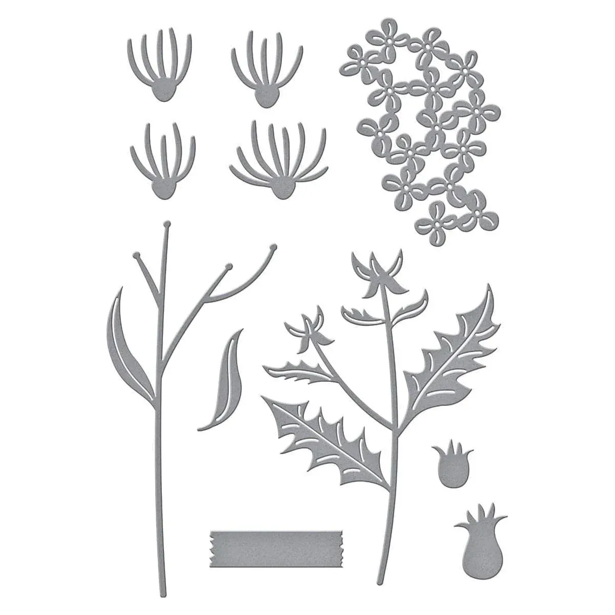 TROQUELES FIELD NOTES WILDFLOWERS