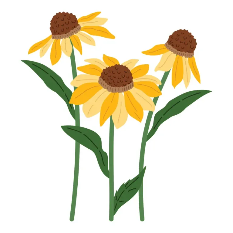 TROQUELES WILD CONEFLOWERS DE SIMON HURLEY